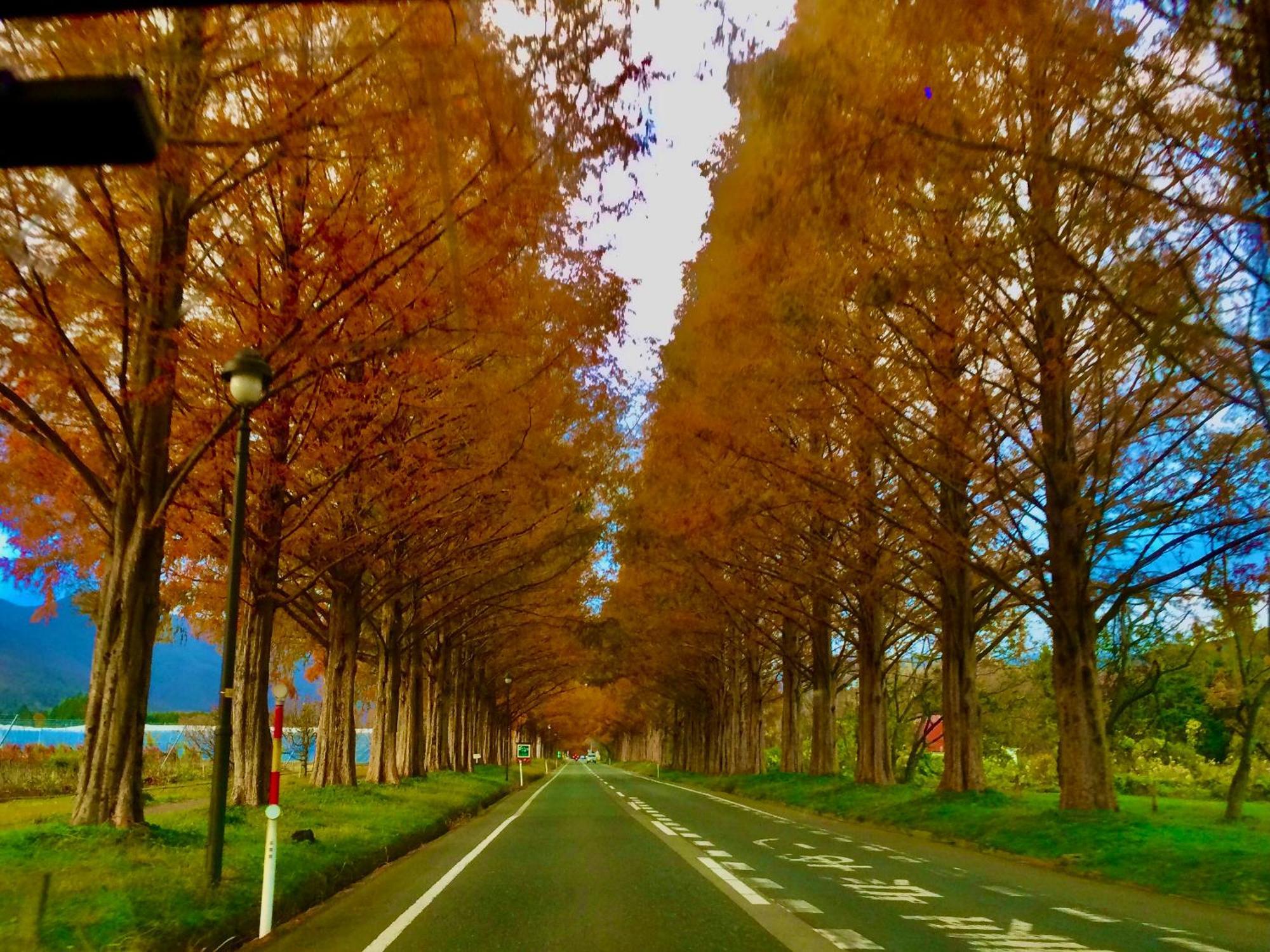 Koke Musu Inn โอทสึ ภายนอก รูปภาพ