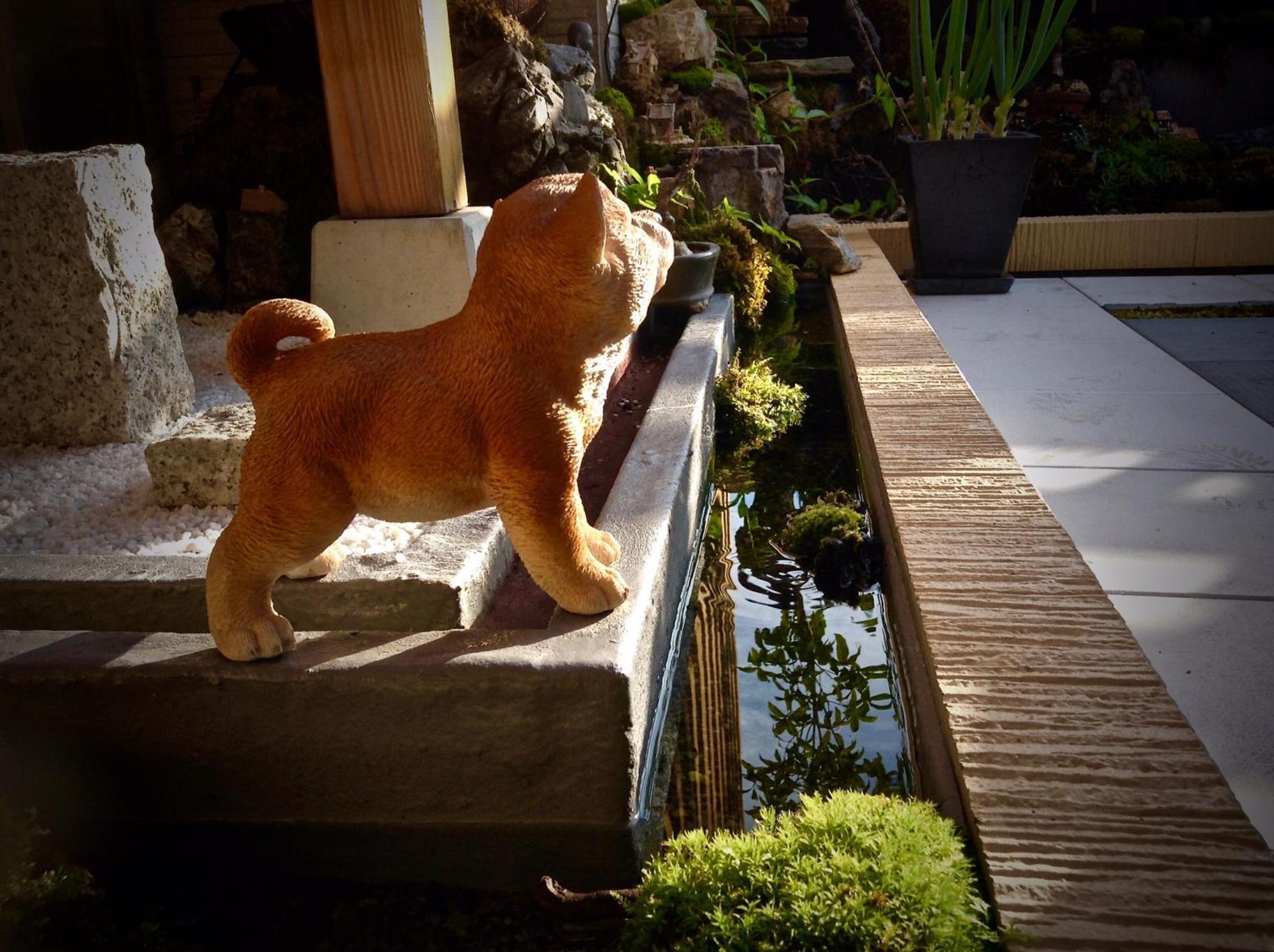 Koke Musu Inn โอทสึ ภายนอก รูปภาพ