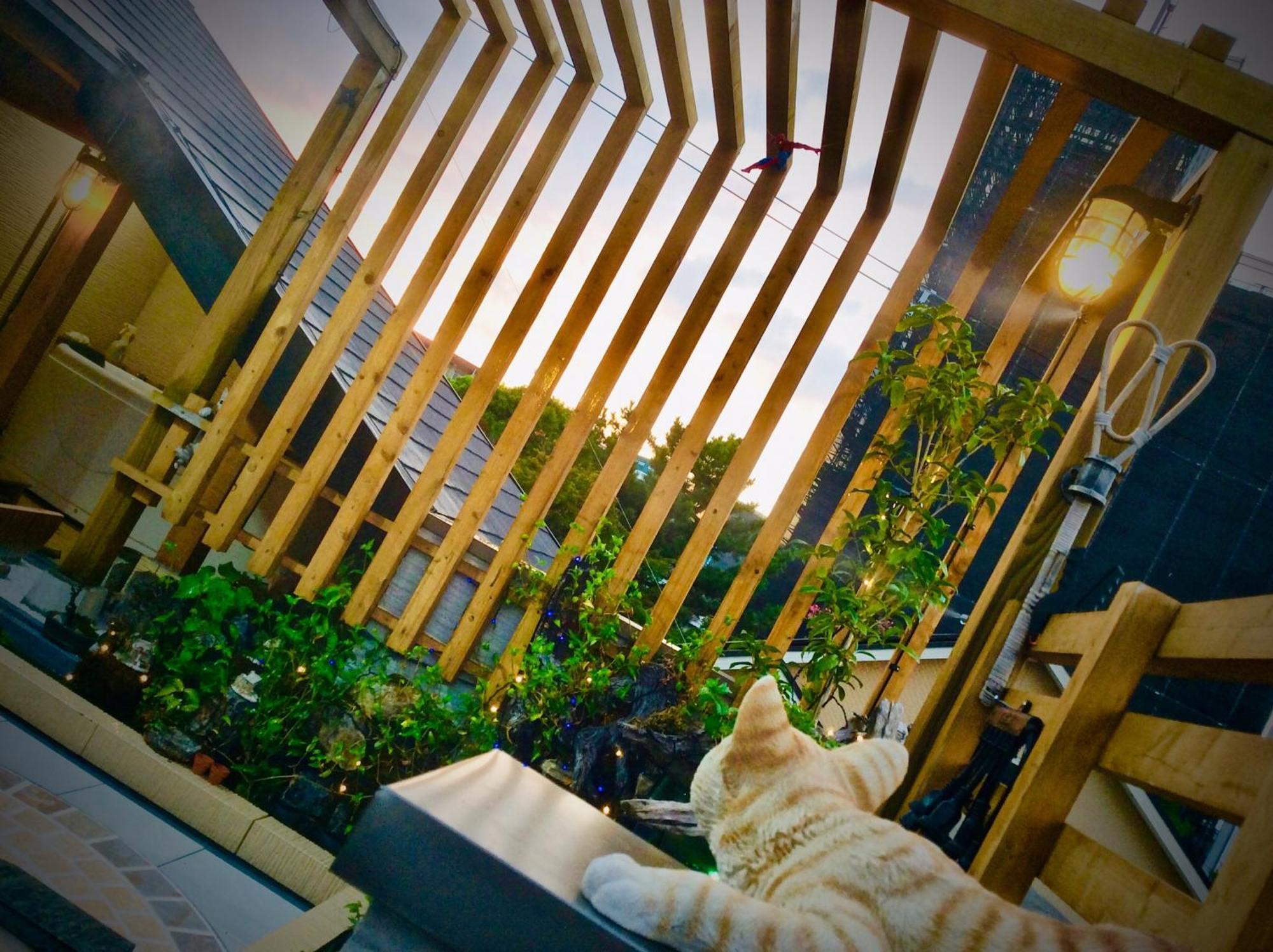 Koke Musu Inn โอทสึ ภายนอก รูปภาพ