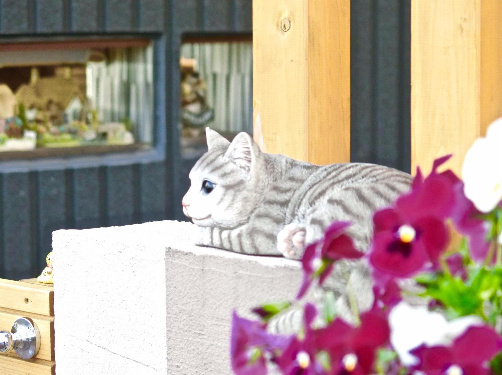 Koke Musu Inn โอทสึ ภายนอก รูปภาพ